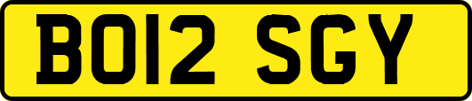 BO12SGY