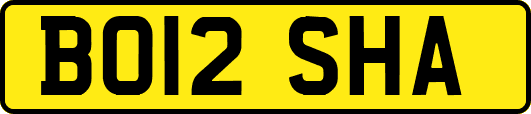BO12SHA