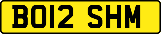 BO12SHM