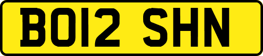 BO12SHN