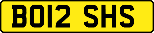 BO12SHS