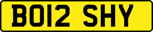 BO12SHY