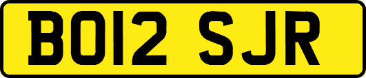 BO12SJR