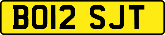 BO12SJT