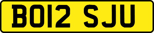 BO12SJU