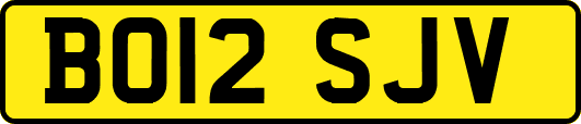 BO12SJV