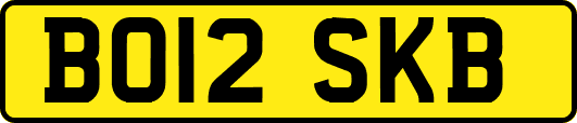 BO12SKB