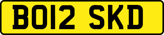 BO12SKD