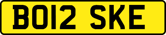 BO12SKE