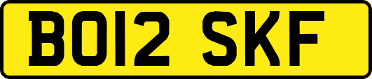 BO12SKF