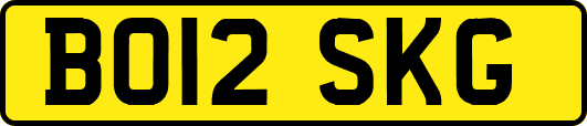 BO12SKG