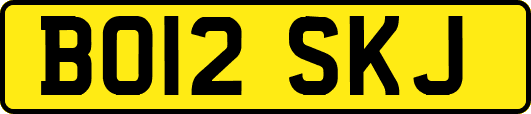 BO12SKJ