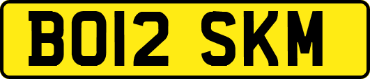 BO12SKM