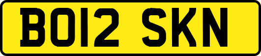 BO12SKN
