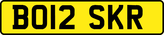 BO12SKR