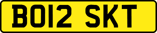 BO12SKT