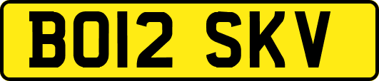 BO12SKV