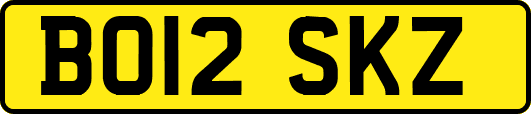 BO12SKZ