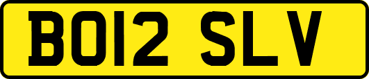 BO12SLV