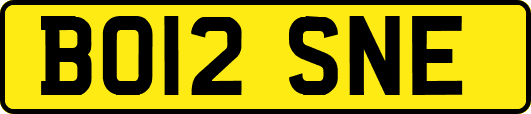 BO12SNE