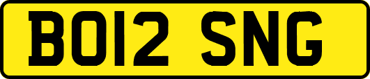 BO12SNG