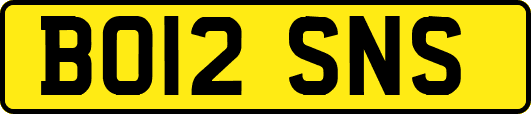 BO12SNS