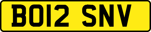 BO12SNV