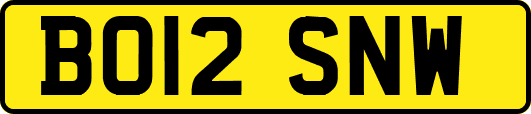 BO12SNW