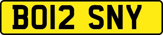 BO12SNY