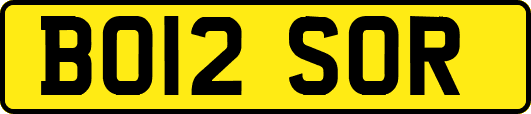 BO12SOR