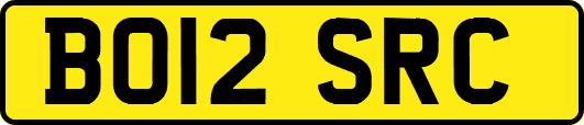 BO12SRC