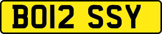 BO12SSY