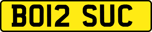 BO12SUC