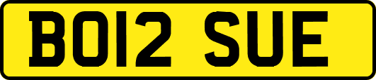 BO12SUE