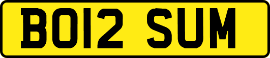 BO12SUM