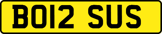 BO12SUS