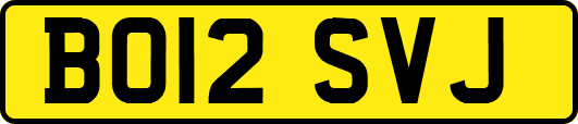 BO12SVJ