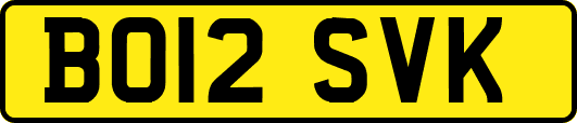 BO12SVK