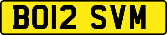 BO12SVM