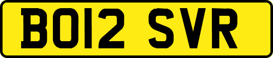 BO12SVR