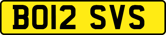 BO12SVS