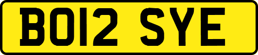 BO12SYE
