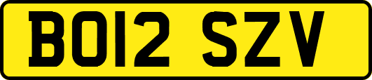 BO12SZV
