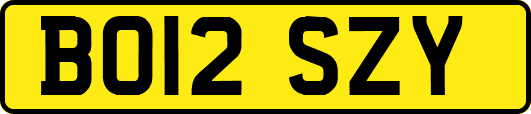 BO12SZY