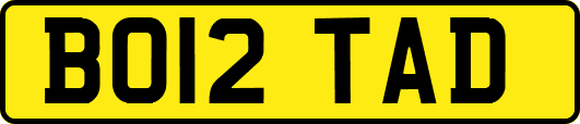 BO12TAD