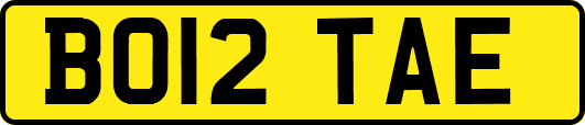 BO12TAE
