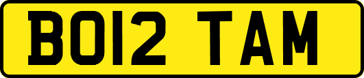 BO12TAM