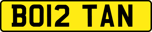 BO12TAN