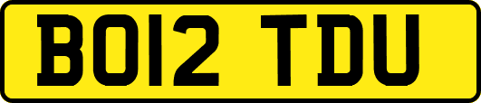 BO12TDU