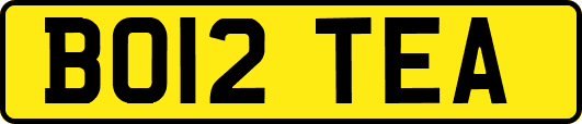 BO12TEA